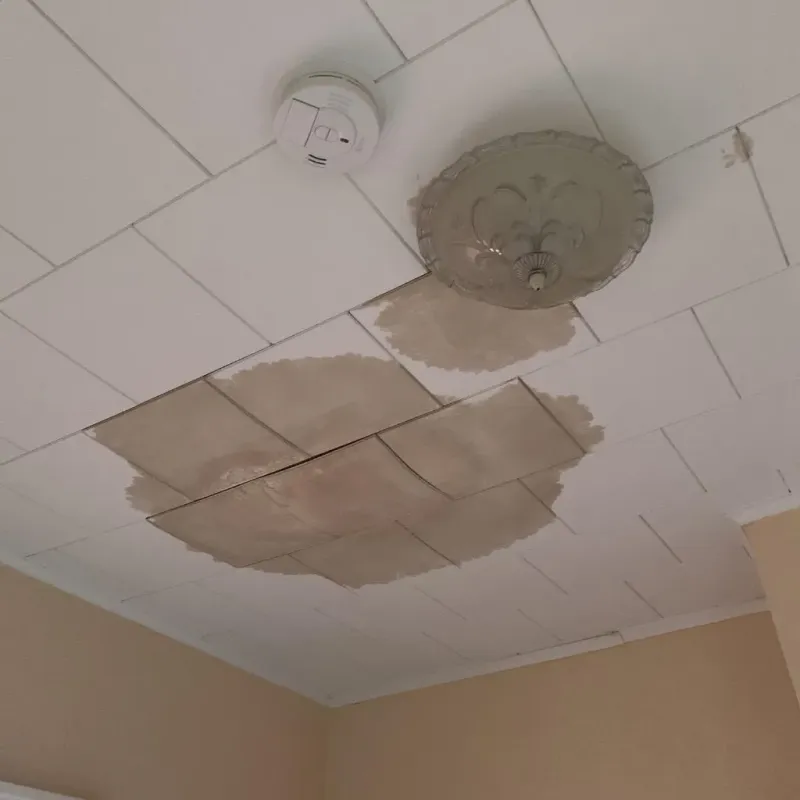 Ceiling Water Damage Repair in South Roxana, IL