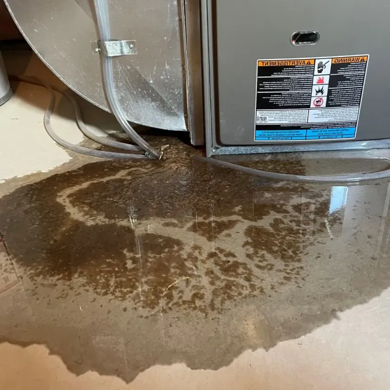 Pipe Burst and Leak Restoration in South Roxana, IL